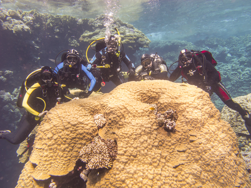 Diving
