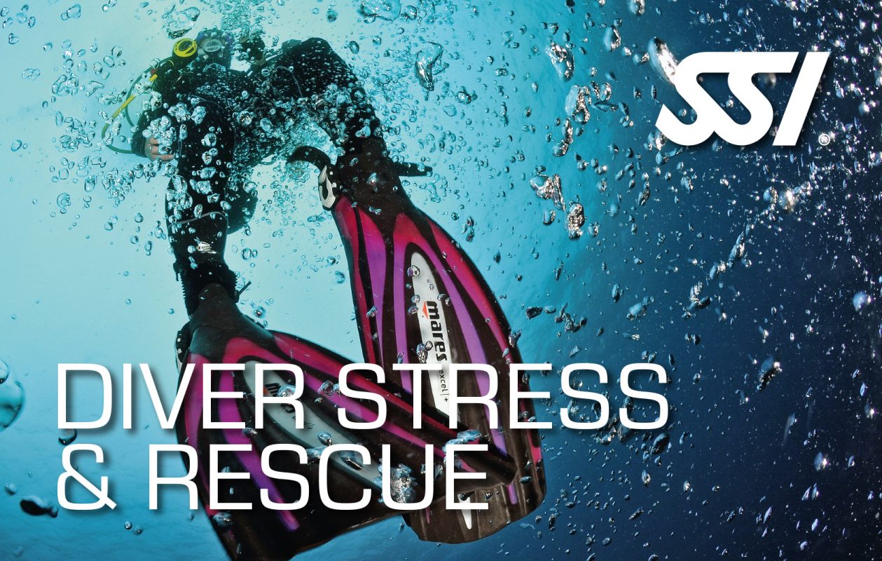 Open Water Diver