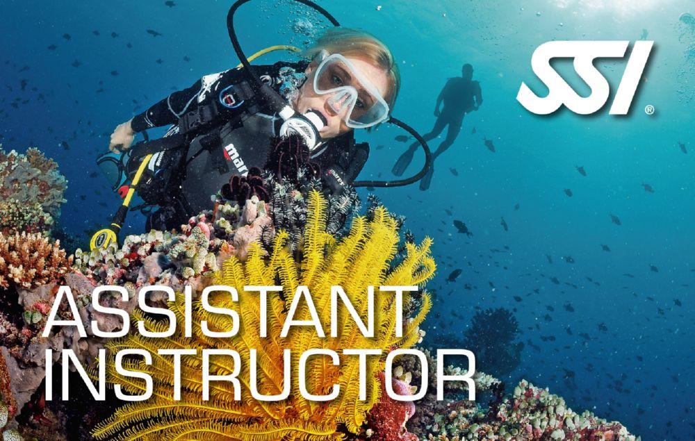Master Diver