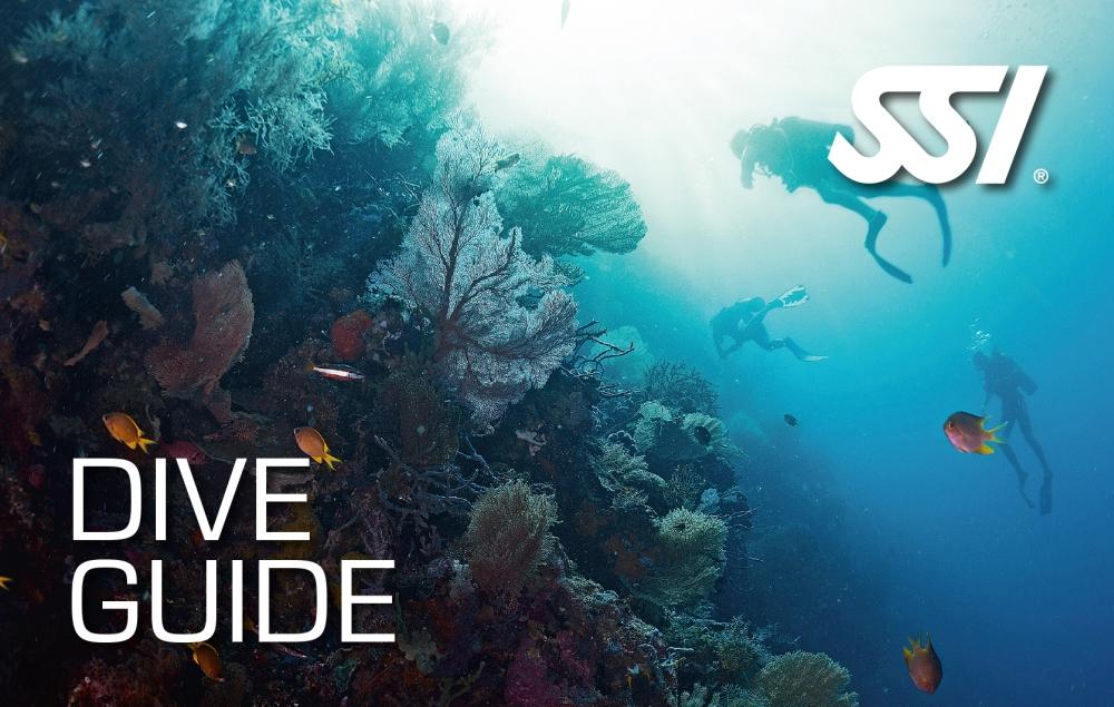 SSI Dive Guide 